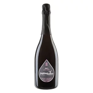 Saltimbanco Brut Rosato Merlot Spumante - Fa'Wino