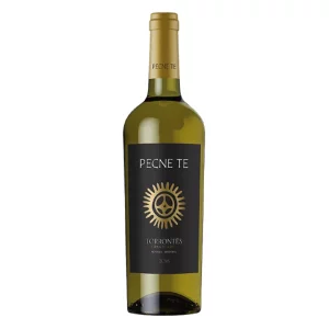 Torrontes Gran Reserva 2018 - PECNE TE