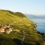 panorama-vignes-suisse2